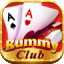 rummy play
